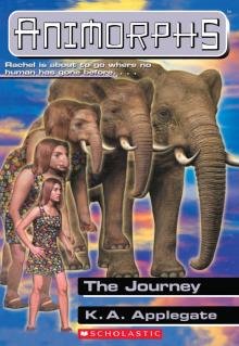 The Journey The Journey