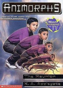 The Reunion (Animorphs 33)