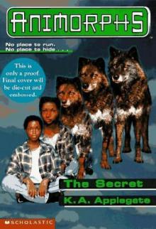 The Secret The Secret