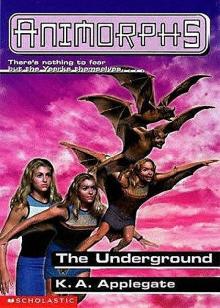 The Underground (Animorphs 18)