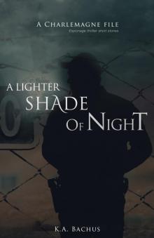 A Lighter Shade of Night