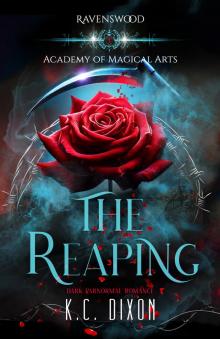 The Reaping (Ravenswood Academy of Magical Arts Book 3)