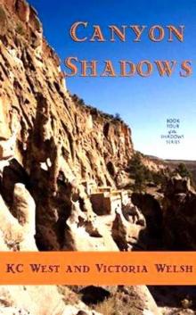 Shadows 04 Canyon Shadows