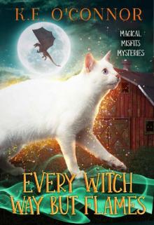 Every Witch Way but Flames (Magical Misfits Mysteries Book 10)