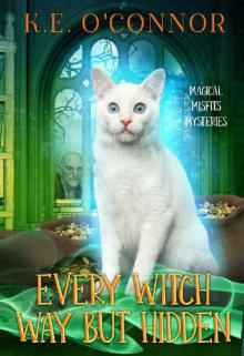 Every Witch Way but Hidden (Magical Misfits Mysteries Book 5)