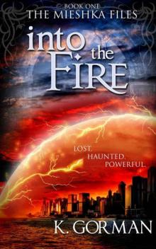 Into the Fire (The Mieshka Files, Book One) Into the Fire (The Mieshka Files, Book One)