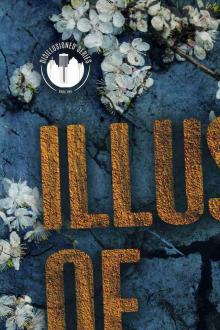 Illusion of Safety: A Romance Suspense Novel (Disillusioned Book 1)