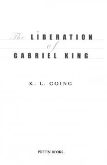 The Liberation of Gabriel King The Liberation of Gabriel King