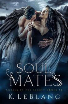 Soulmates (Angels of the Secret Order Book 2)