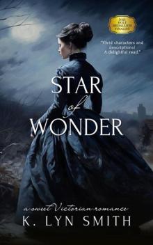Star of Wonder: A Sweet Victorian Holiday Novella (Love’s Journey Book 1)
