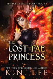 The Lost Fae Princess The Lost Fae Princess