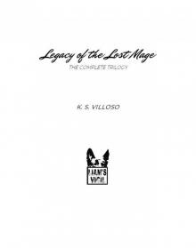 Legacy of the Lost Mage