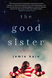 Good Sister (9781250047786)