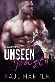 Unseen Past Unseen Past