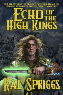 Echo of the High Kings (The Eoriel Saga Book 1)