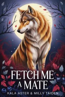 Fetch Me A Mate (Shifter Mates of Hollow Oak Book 1)