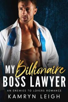 My Billionaire Boss Lawyer: An Enemies to Lovers Romance