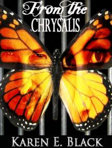 From the Chrysalis: a novel