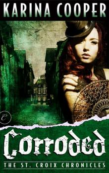 Corroded tscc-3 Corroded tscc-3