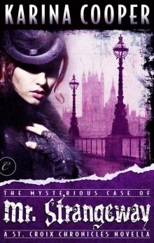 The Mysterious Case of Mr. Strangeway The Mysterious Case of Mr. Strangeway