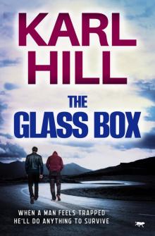 The Glass Box The Glass Box