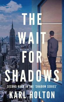 The Wait for Shadows