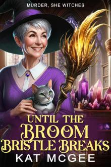 Until the Broom Bristle Breaks: A Murder, She Witches Mystery