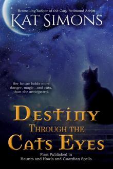 Destiny Through the Cats Eyes Destiny Through the Cats Eyes