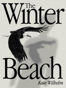 The Winter Beach