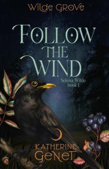 Follow the Wind