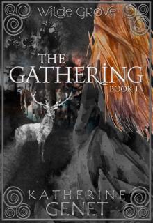 The Gathering The Gathering