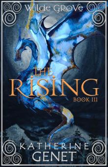 The Rising The Rising