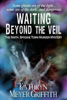 Waiting Beyond the Veil