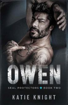 Owen: A Sizzling Navy SEAL Team Romance With a Tempting Fake Relationship Set-Up (SEAL Protectors Book 2)
