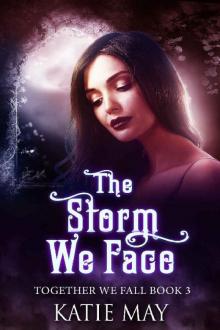 The Storm We Face