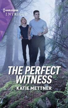 The Perfect Witness