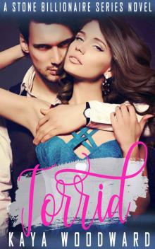 Torrid_A Stone Billionaire Series Novel