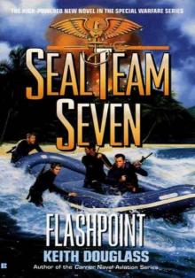 Flashpoint sts-11