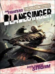 The Fighters: Bladesinger
