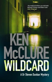 Wildcard sd-3