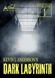 Dark Labyrinth 1 Dark Labyrinth 1