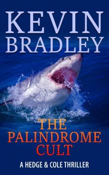 The Palindrome Cult: A gripping, page-turning, crime suspense thriller, its fast pace takes you from London to New York, via Dubai and the Virgin Islands. (Hedge & Cole Book 1)