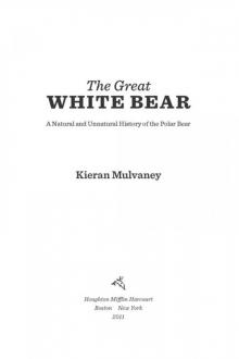 The Great White Bear