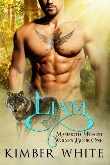Liam (Mammoth Forest Wolves Book 1) Liam (Mammoth Forest Wolves Book 1)