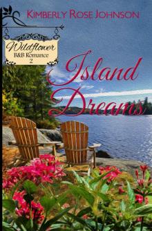 Island Dreams (Wildflower B&B Romance Book 2)