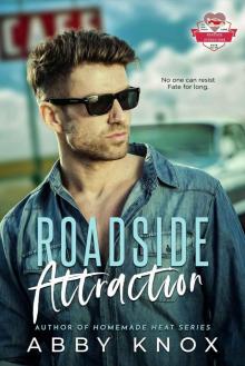 Roadside Attraction