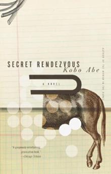 Secret Rendezvous Secret Rendezvous