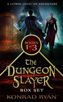 The Dungeon Slayer Series Box Set (Dungeon Slayer Collection Book 1): A LitRPG Level-up Adventure Series