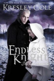 Endless Knight tac-2