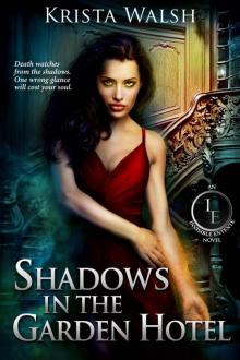 3.0 - Shadows In The Garden Hotel